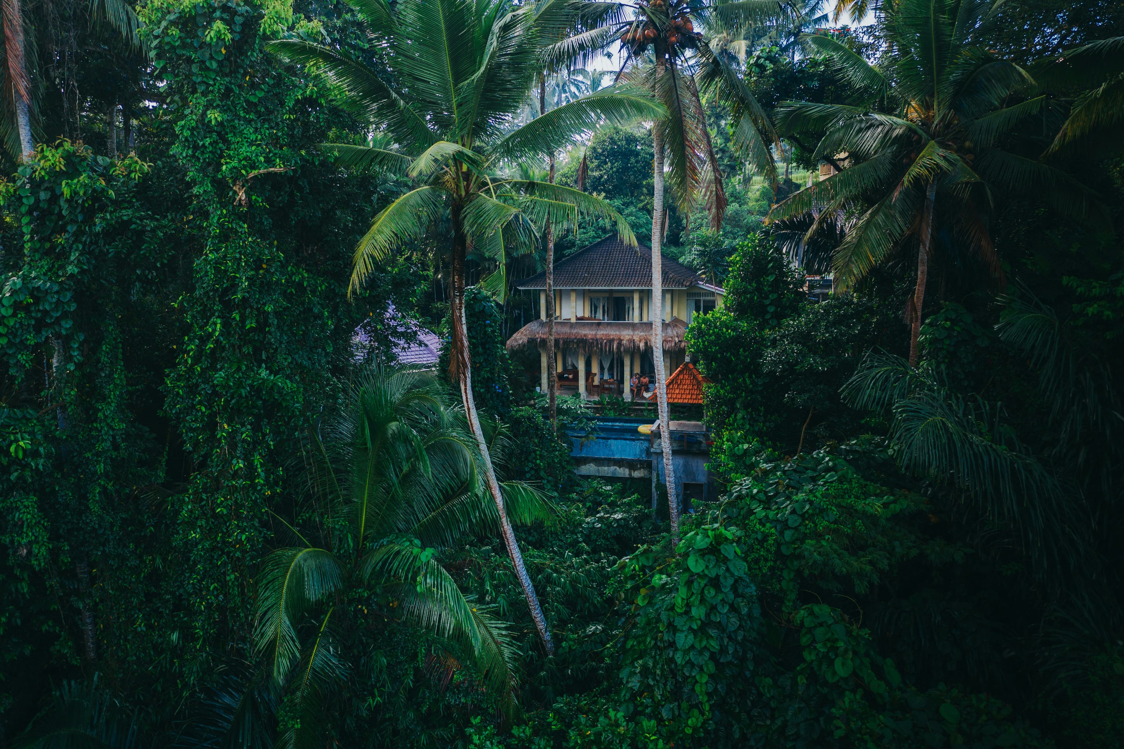 Jungle villa hideaway